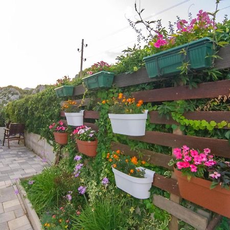 Village Holiday Apartman With Heated Pool Maslina Kostanje Экстерьер фото